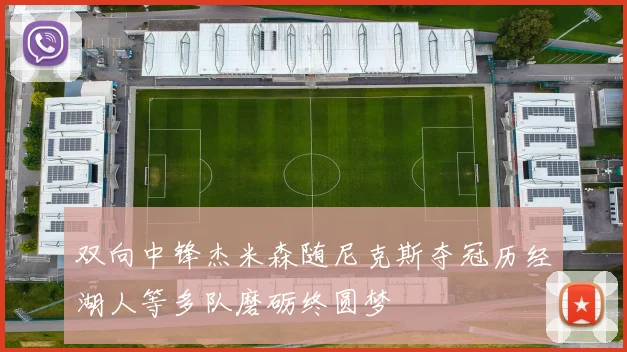 双向中锋杰米森随尼克斯夺冠历经湖人等多队磨砺终圆梦