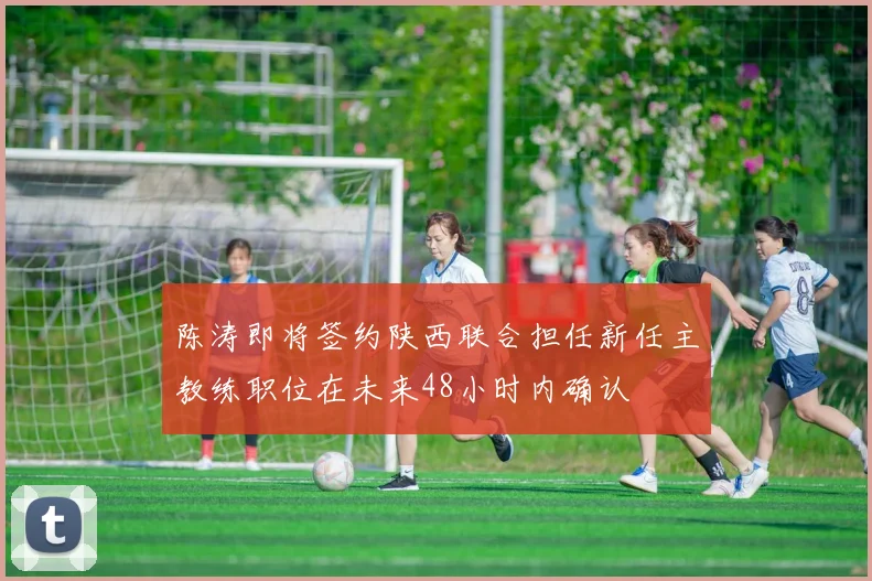 陈涛即将签约陕西联合担任新任主教练职位在未来48小时内确认