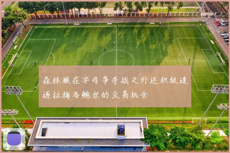 森林狼在字母争夺战之外还积极追逐拉梅洛鲍尔的交易机会