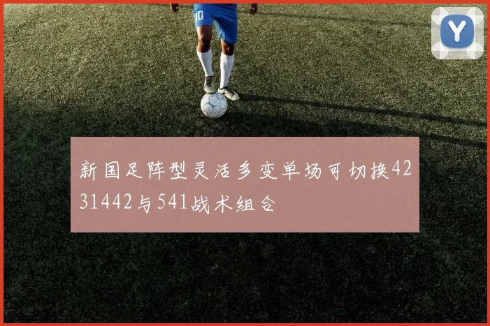 新国足阵型灵活多变单场可切换4231442与541战术组合