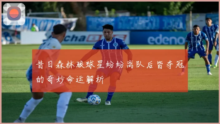 昔日森林狼球星纷纷离队后皆夺冠的奇妙命运解析